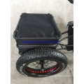 Ebike Fat Tire E Trike Three Wheels Adult Cargo Electric Tricycle